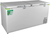 Rockwell 523 L Double Door Standard Deep Freezer(White, GFR 550 ET)