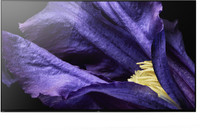 Sony Bravia A9F 164 cm (65 inch) OLED Ultra HD (4K) Smart Android TV(KD-65A9F) Sony Bravia A9F 164 cm (65 inch) OLED Ultra HD (4K) Smart Android TV(KD-65A9F)