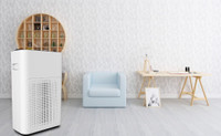 COKSA CS200H-B2 Portable Room Air Purifier(White)