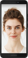 GIONEE F205 (Black and Gold, 16 GB)(2 GB RAM)