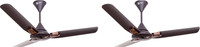 Orient Electric JAZZ TRENDZ BRONZE COPPER 1200 mm 3 Blade Ceiling Fan(ORANGE, Pack of 2)