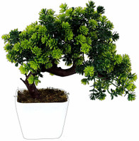 Yutiriti Plastic Bonsai Plant Tree Flowers (22 cm x 10 cm x 22 cm, Green) Bonsai Wild Artificial Plant  with Pot(22 cm, Green)