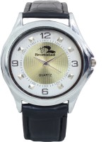 Bromstad 3390GG Standred Analog Watch For Men