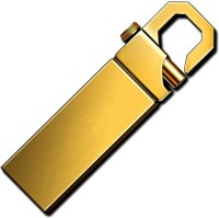 Pankreeti 874 Metal 64 GB Pen Drive(Gold)