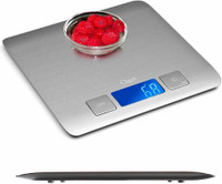 Ozeri Digital Kitchen Scale by in Refined Stainless Steel Weighing Scale(Silver)