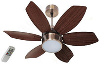 Polycab Superia Lite SP03 800mm 0.3 mm 6 Blade Ceiling Fan(Red, Pack of 1)