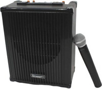 stranger C29 Amplifier with Wireless Microphone 20 W AV Power Receiver(Black)