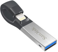 SanDisk SDIX30N-256G-PN6NE 256 GB Pen Drive(Black, Silver)