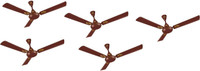 Polar Winpro Deco 3 Blade Ceiling Fan PACK_5 600 mm 3 Blade Ceiling Fan(Brown, Pack of 5)
