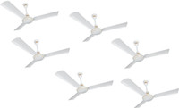 Polar WINPRO BASE 3 Blade Ceiling Fan PACK_6 600 mm 3 Blade Ceiling Fan(White, Pack of 6)