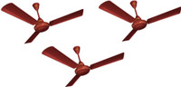 Polar Ceiling Fan PACK_3 600 mm 3 Blade Ceiling Fan(White, Pack of 3)