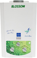 BLOSSOM 6 L Gas Water Geyser (GREEN, White, Green)