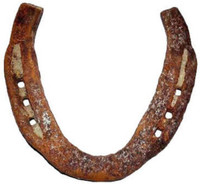 Raviour Lifestyle Horse Shoe Ring