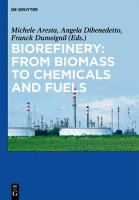Biorefinery: From Biomass to Chemicals and Fuels(English, Electronic book text, unknown)