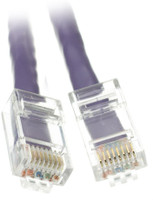 ACCL LAN Cable 30.48 m 809021(Compatible with Networking, Purple)