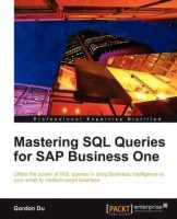 Mastering SQL Queries for SAP Business One(English, Electronic book text, Du Gordon)