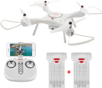 Hobbitos D2917 Drone
