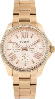 Fossil AM4483 CECILE Analog Watch For Women
