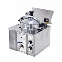 BANWAY IRC IRC0019 16 L Electric Deep Fryer
