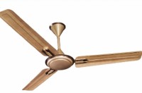Crompton PRIME (CORAL GOLD) 1200 mm 3 Blade Ceiling Fan(CORAL GOLD, Pack of 1)