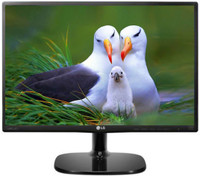 LG 20 inch WXGA+ LED Backlit IPS Panel Monitor (20MP48HB-B.BTR)(Response Time: 5 ms)
