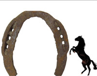 Secure Healthcare Horse Shoe Ring