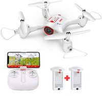 Hawkister D3009 Drone