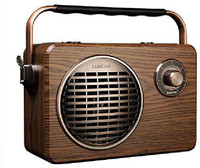lugulake Portable Outdoor Speaker System with FM Radio FM Radio(Brown)