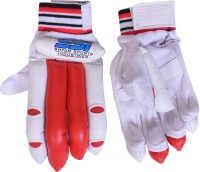 SSI sports cricket boys bating gloves Batting Gloves(Multicolor)