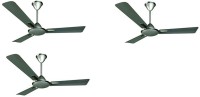 CROMPTON Aura Prime Anti Dust Pack of 3 1200 mm 3 Blade Ceiling Fan(Titanium, Pack of 3)