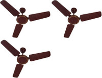 USHA st0 900 mm 3 Blade Ceiling Fan(Brown, Pack of 3)