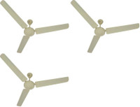 USHA Striker 1400 mm 3 Blade Ceiling Fan(Ivory, Pack of 3)