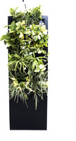 OxyGarden Room Forest Humidifier