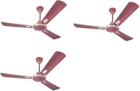 USHA 900MM Striker Platinum 900 mm 3 Blade Ceiling Fan(Lavender Chrome, Pack of 3)