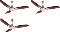 USHA Bloom Primrose, Brown 1250 mm 3 Blade Ceiling Fan(Sparkle Golden, Brown, Pack of 3)