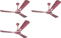 USHA Striker Platinum, pack of 3 1400 mm 3 Blade Ceiling Fan(maroon, Pack of 3)