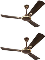 USHA Striker Platinum 1400mm 1400 mm 3 Blade Ceiling Fan(brown, Pack of 2)