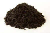 cultivo Organic Vermicompost 4KG Manure(4 kg, Powder)