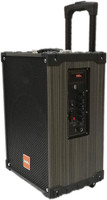 Takara Karaoke Speaker T-9110 Portable Trolley 10 Inch Woofer Multimedia Bluetooth Speaker, with Audio Recording, Rechargeable Battery, USB,TF, PA System with 2 Wireless Mic Outdoor Wooden Speakers T-9110 Indoor, Outdoor PA System(100 W)