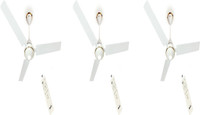 MAYA DCDECOECOTECHIVORY 1200 mm 3 Blade Ceiling Fan(white11, Pack of 3)