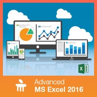 MANIPAL Advanced MS Excel 2016 Vocational & Personal Development(Course)