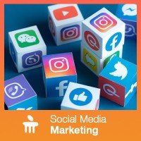 MANIPAL Social media marketing Vocational & Personal Development(E-Book)