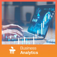 MANIPAL Business Analytics Vocational & Personal Development(Course)