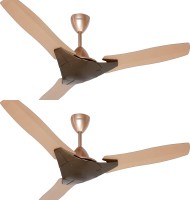 HAVELLS TROIKA 1200 mm 3 Blade Ceiling Fan(HONEY CHAMPAGNE, Pack of 2)