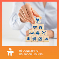 MANIPAL Introduction to Insurance Course Vocational & Personal Development(Course)
