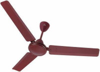 Polycab FANPLCB02 1200 mm 3 Blade Ceiling Fan(BROWN, Pack of 1)