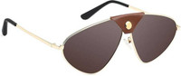 POLOSHADES Aviator Sunglasses(Brown)