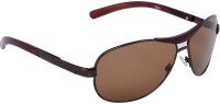Aligatorr Round Sunglasses(For Men & Women, Brown)