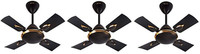 USHA STRIKER PLATINUM.. PACK OF 3 600 mm 3 Blade Ceiling Fan(Deep metallic brown, Pack of 3)