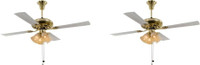 USHA Fontana Orchid pack of 2 1230 mm 4 Blade Ceiling Fan(Gold, Pack of 2)